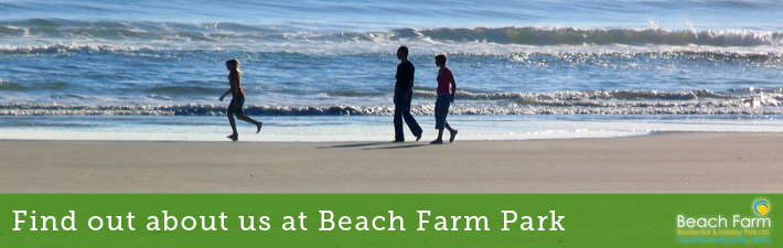 About Beach Farm Park